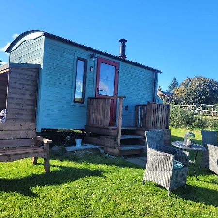 The Shepherds Hut At Forestview Farm 绿岛 外观 照片