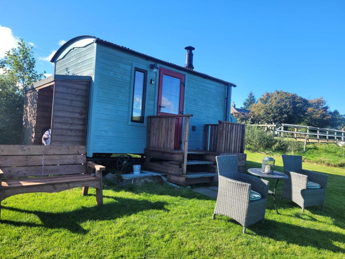 The Shepherds Hut At Forestview Farm 绿岛 外观 照片